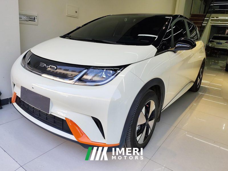 BYD Dolphin 420km Free Version - car from China