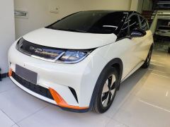 BYD Dolphin 420km Free Version - photo 1