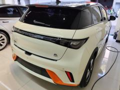 BYD Dolphin 420km Free Version - photo 2