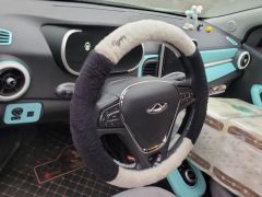 Chery Ant 20 Edition 301km - ფოტო 10