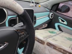 Chery Ant 20 Edition 301km - ფოტო 11