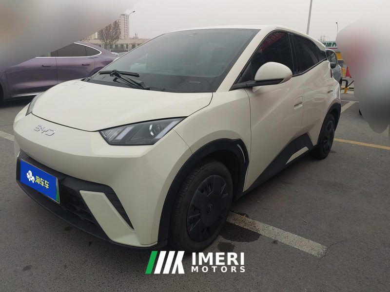 BYD Seagull 305km Vitality Edition - ავტომობილი ჩინეთიდან