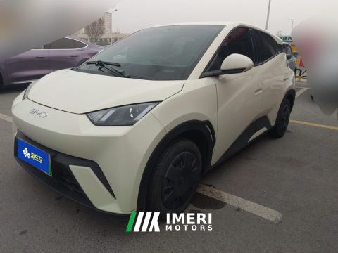 2023 BYD Seagull 305km Vitality Edition - car from China