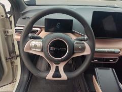 BYD Seagull 305km Vitality Edition - ფოტო 18