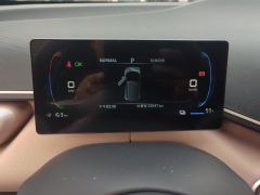 BYD Seagull 305km Vitality Edition - ფოტო 20