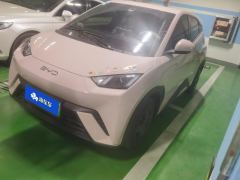 BYD Seagull 305km Vitality Edition - ფოტო 1