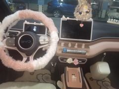 BYD Seagull 305km Vitality Edition - ფოტო 16