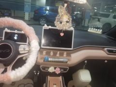 BYD Seagull 305km Vitality Edition - ფოტო 17