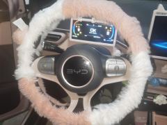 BYD Seagull 305km Vitality Edition - ფოტო 18