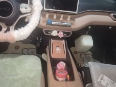 BYD Seagull 305km Vitality Edition - ფოტო 19