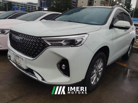 2021 Haval M6 PLUS 1.5T Luxury Version - ავტომობილი ჩინეთიდან