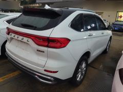 Haval M6 PLUS 1.5T Luxury Version - ფოტო 2