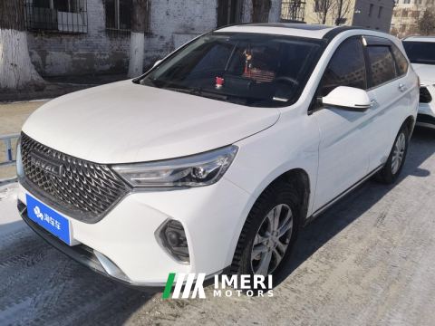 2021 Haval M6 PLUS 1.5T Version - ავტომობილი ჩინეთიდან