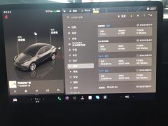 Tesla Model Y 545km Rear-Wheel Drive Edition - ფოტო 20