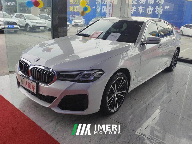 BMW 5 Series 530Li Premier Luxury Package - car from China