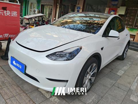 2021 Tesla Model Y Standard endurance rear-wheel drive - ავტომობილი ჩინეთიდან
