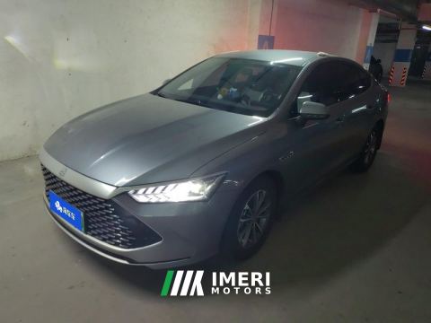2023 BYD Qin PLUS DM-i Champion Edition 1.5L 55km Leading Edition - ავტომობილი ჩინეთიდან