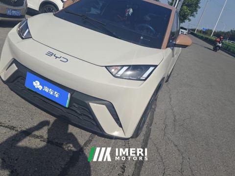 2024 BYD Seagull Honor Edition 305km Free Version - ავტომობილი ჩინეთიდან