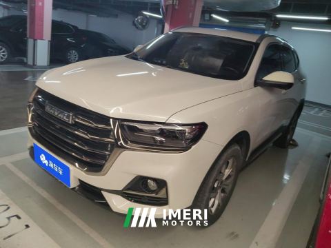 2021 Haval H6 Guochao Edition 1.5T 2WD Champion Edition - автомобиль из Китая