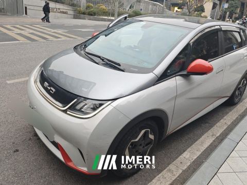 2021 BYD Dolphin 405km Stylish Edition - автомобиль из Китая