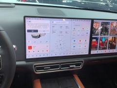 Li Auto L6 Pro - ფოტო 17