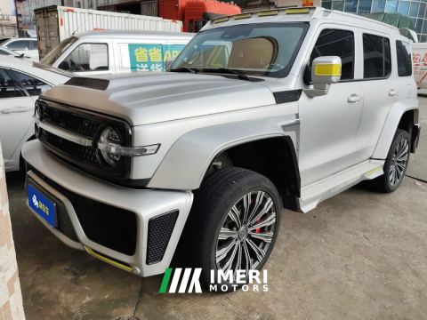 2021 Tank 300 2.0T - car from China