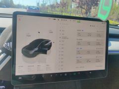 Tesla Model Y 554km Rear-Wheel Drive Edition - ფოტო 20