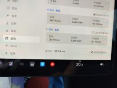Tesla Model 3 606km Rear-Wheel Drive Edition - ფოტო 20