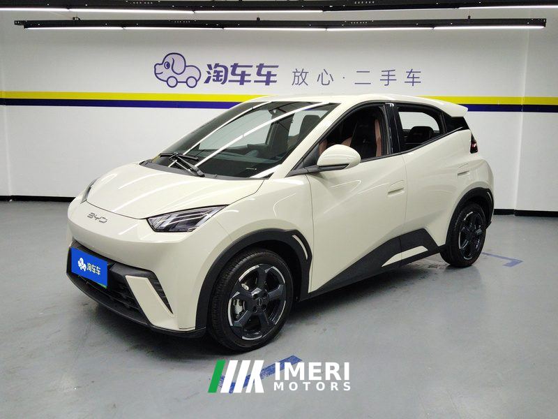 BYD Seagull 305km Free Version - ავტომობილი ჩინეთიდან