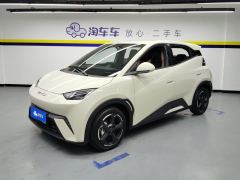 BYD Seagull 305km Free Version - ფოტო 1