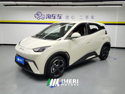 2023 BYD Seagull 305km Free Version - ავტომობილი ჩინეთიდან