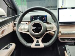 BYD Seagull 305km Free Version - ფოტო 18