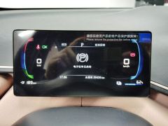 BYD Seagull 305km Free Version - ფოტო 20