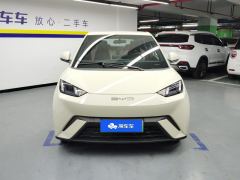 BYD Seagull 305km Free Version - ფოტო 3