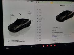 Tesla Model 3 556km Rear-Wheel Drive Edition - ფოტო 20