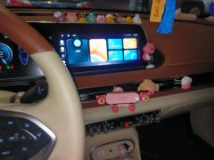 Ora Great Wall Good Cat 401km Luxury Edition - ფოტო 17