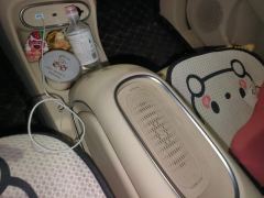 Ora Great Wall Good Cat 401km Luxury Edition - ფოტო 19