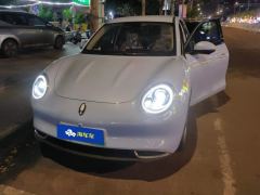 Ora Great Wall Good Cat 401km Luxury Edition - ფოტო 3
