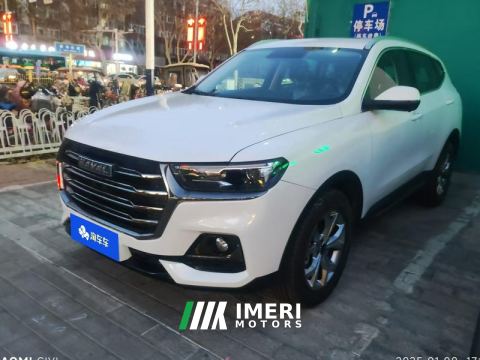 2021 Haval H6 Guochao Edition 1.5T 2WD Champion Edition - car from China