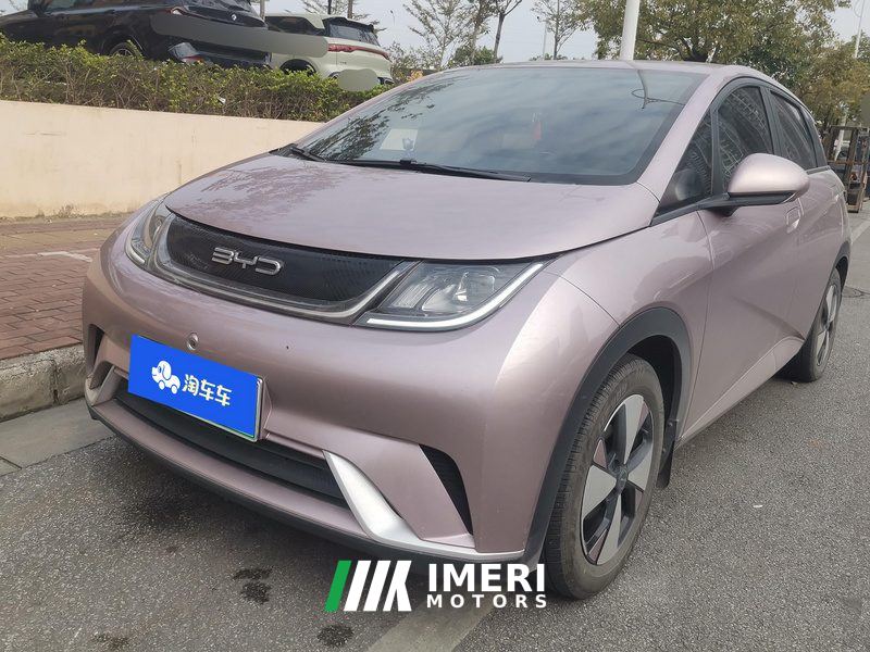 BYD Dolphin 420km Free Version - ავტომობილი ჩინეთიდან
