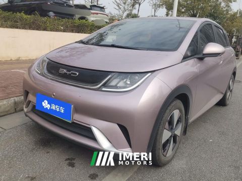 2023 BYD Dolphin 420km Free Version - car from China
