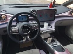 BYD Dolphin 420km Free Version - ფოტო 16