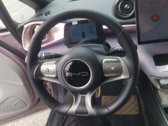 BYD Dolphin 420km Free Version - ფოტო 18