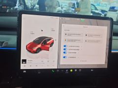 Tesla Model Y 688km Long Range AWD - ფოტო 17