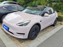 Tesla Model Y 554km Rear-Wheel Drive Edition - фото 1