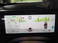 Geely ICON 1.5T Edition - фото 20