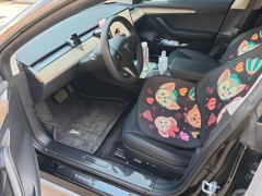 Tesla Model 3 556km Rear-Wheel Drive Edition - фото 14