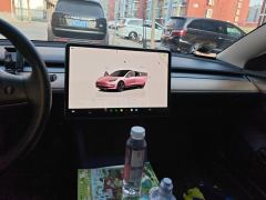 Tesla Model 3 556km Rear-Wheel Drive Edition - фото 17