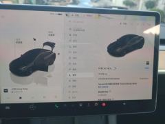 Tesla Model 3 556km Rear-Wheel Drive Edition - photo 20