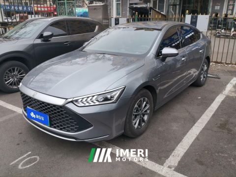 2023 BYD Qin PLUS DM-i Champion Edition 1.5L 55km Leading Edition